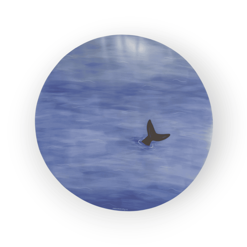 Voda - Podložka na světelný stůl KULATÝ